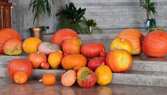 Borkemer Herbst 2024, Bild 13