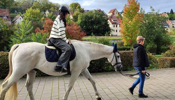 Borkemer Herbst 2024, Bild 26